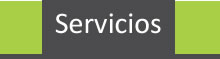 Servicios